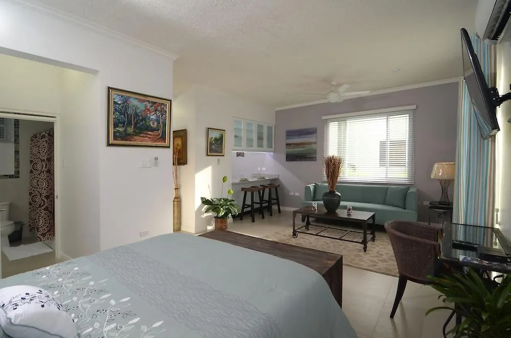Kingsway New Kingston Guest Apartment II
